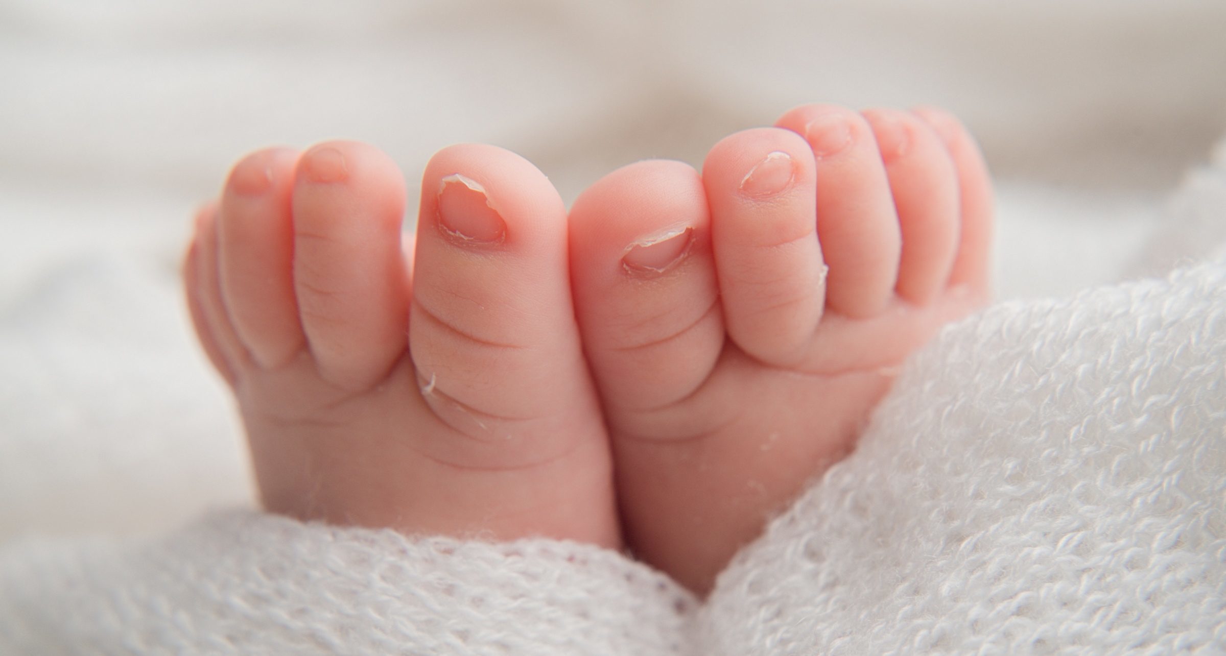 Foto de Daniela Arenhardt 1